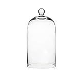Whole Housewares Clear Glass Cloche Bell Jar - Glass Display Dome | Amazon (US)