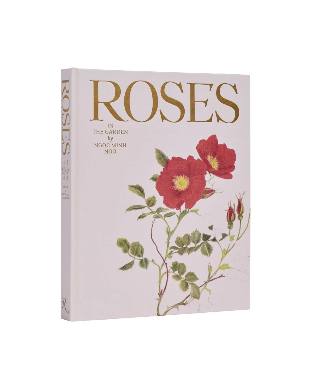 Roses in the Garden | Brooke & Lou | Brooke and Lou