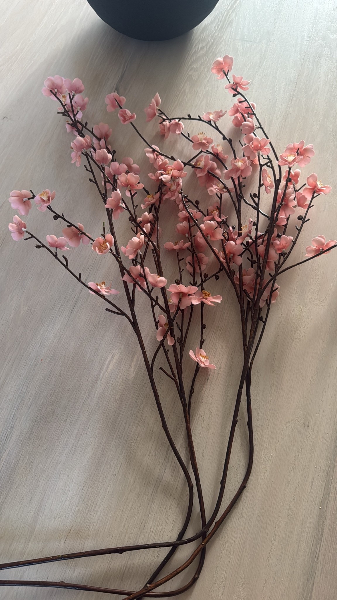 Pink cherry blossoms 
World market
Spring decor 


#LTKHome