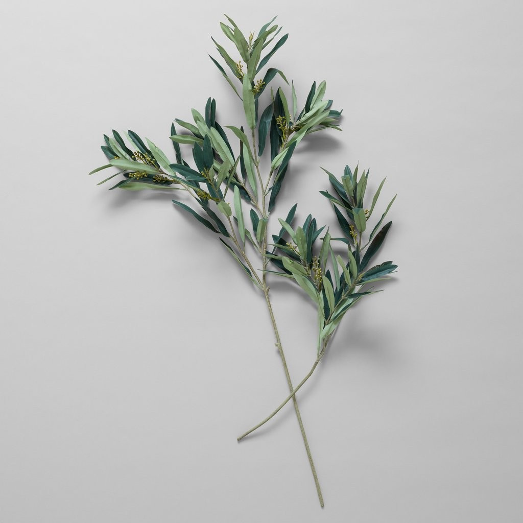 EcoFaux Arbequina Olive Spray | Bloomist