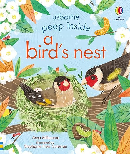 Peep inside a bird's nest      Paperback – March 24, 2022 | Amazon (US)