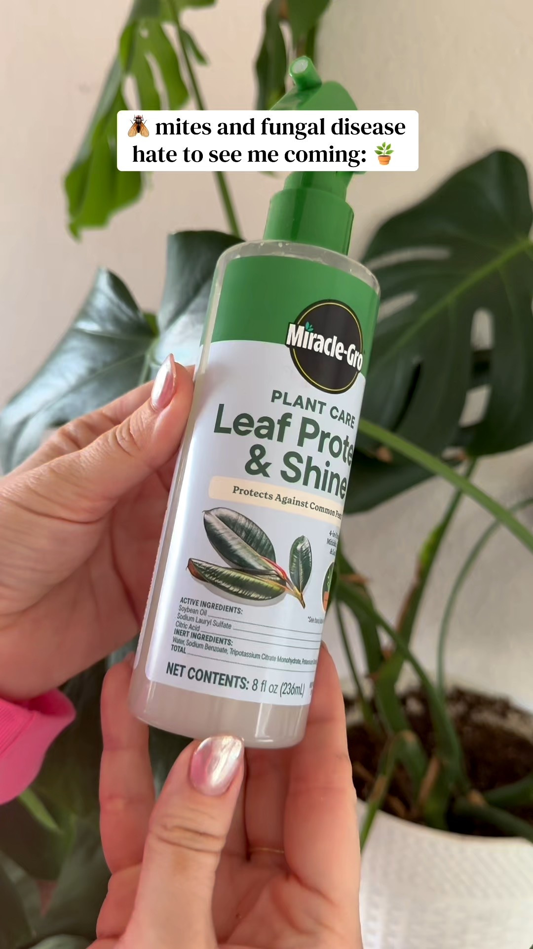 If your plants are looking a little dull, this gives their leaves that healthy, glossy glow in seconds. Perfect for keeping your indoor jungle fresh, vibrant, and photo-ready.



#LTKdayinmylife #LTKNYFW #LTKgrwm