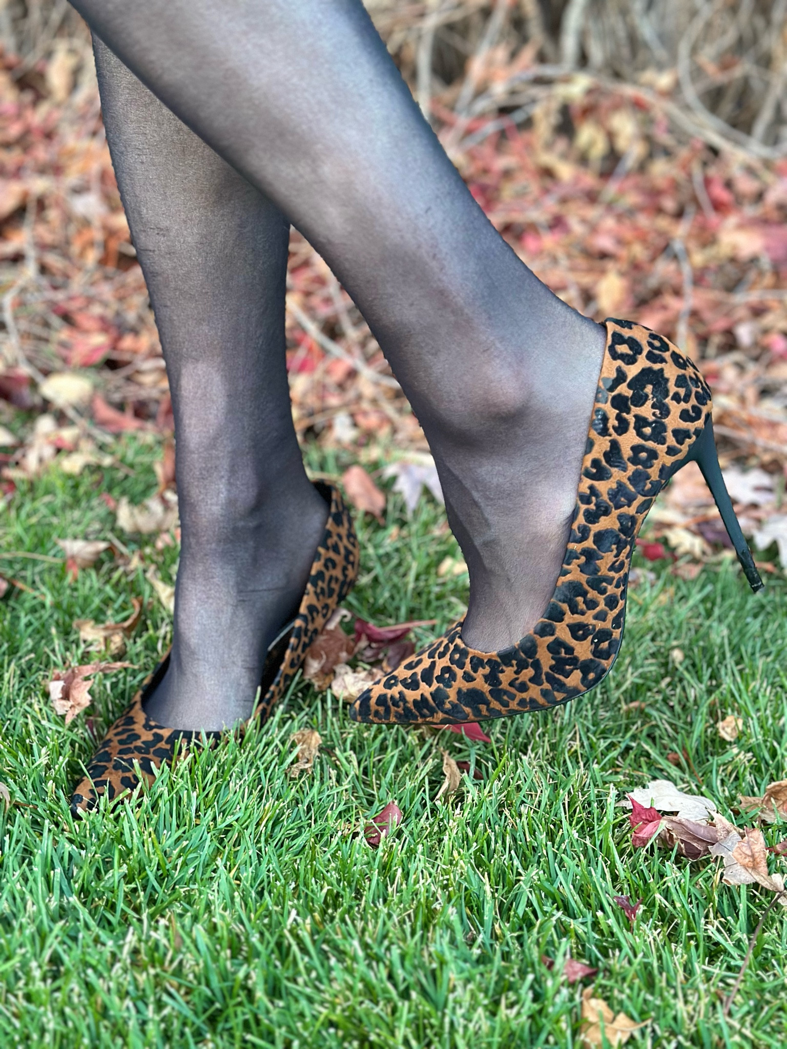 Fall heels - Leopard Heels 

#LTKShoeCrush #LTKFindsUnder100 #LTKGiftGuide