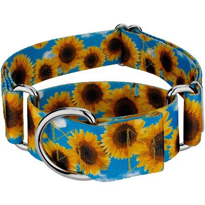 Country Brook Petz HossFit Wide Martingale Dog Collar Collection (Sunflowers, Medium) | Target