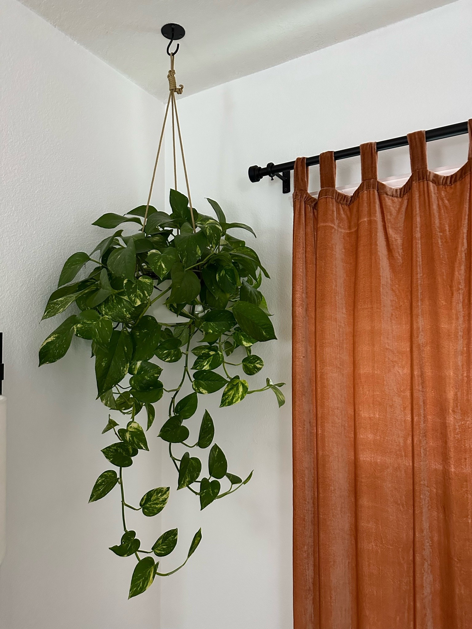 Master bedroom curtains and hanging plant! 

#LTKFindsUnder50 #LTKHome #LTKFindsUnder100