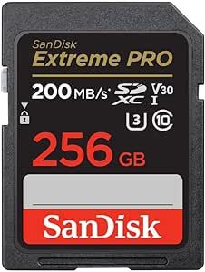 SanDisk 256GB Extreme PRO SDXC UHS-I Memory Card - C10, U3, V30, 4K UHD, SD Card - SDSDXXD-256G-G... | Amazon (US)
