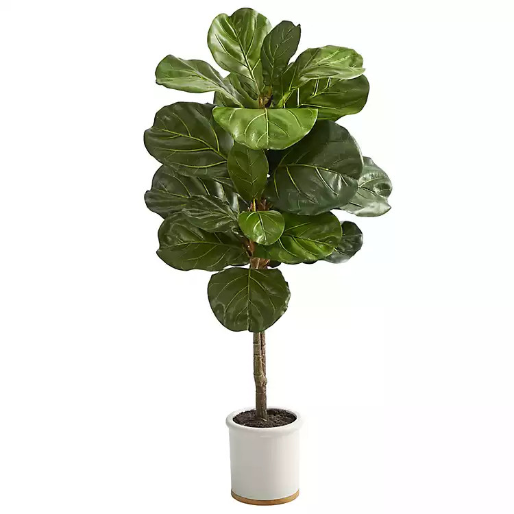 Fiddle Leaf Fig in White Ceramic Planter, 42 in. | Kirkland's Home
