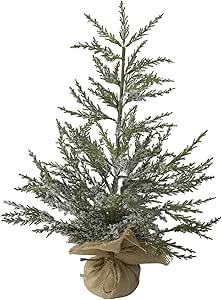 Northlight Real Touch™ Potted Medium Iced Cedar Artificial Christmas Tree - 24" - Unlit | Amazon (US)