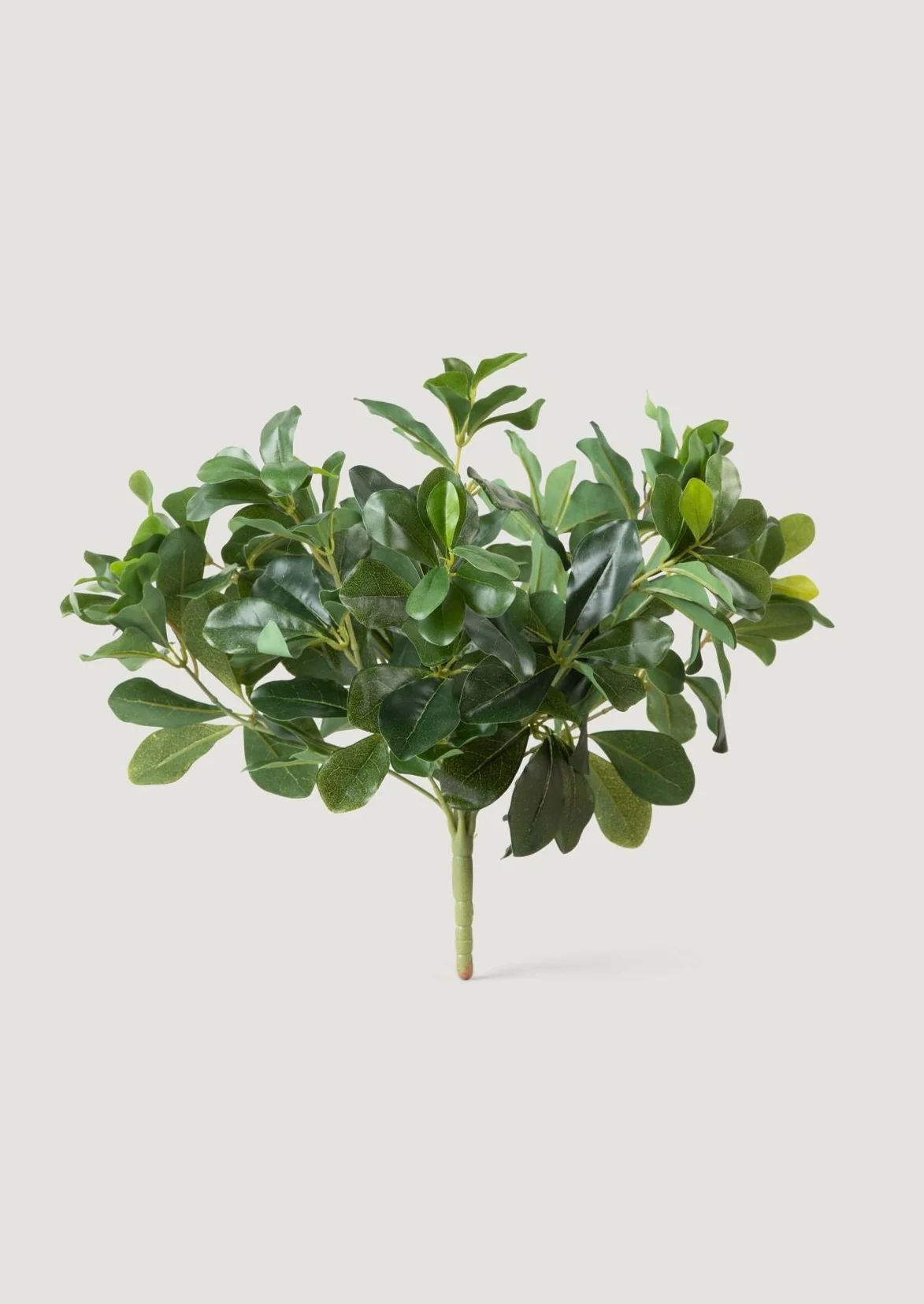 Natural Touch Artificial Wax Privet Leaf Plant - 15" | Afloral