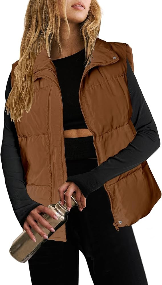 Zeagoo Women Puffer Vest Lightweight Stand Collar Sleeveless Winter Warm Zip Up Padded Outerwear ... | Amazon (US)