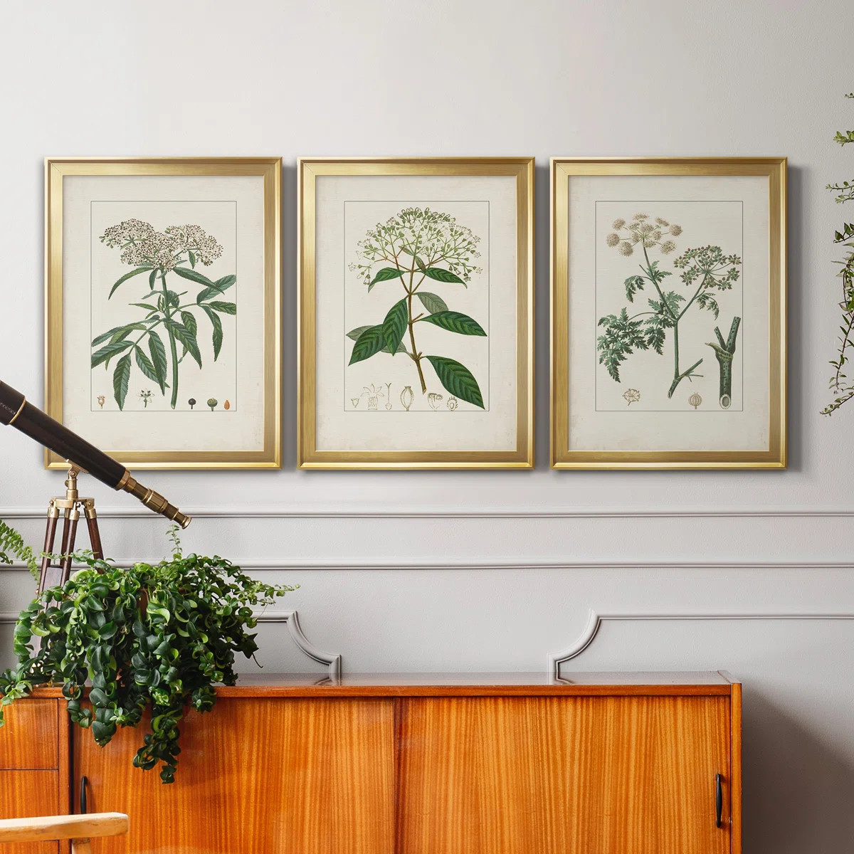 Rosalind Wheeler Antique Turpin Botanical VII - 3 Piece Picture Frame Painting Set on Canvas | Wa... | Wayfair North America