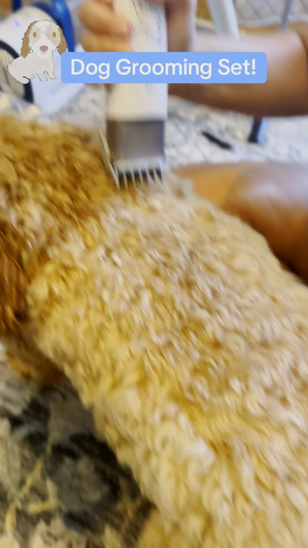 If you have dogs check out all of our favorite things! This pet grooming kit has saved me SO much money! #dogs #grooming #dogmom 

#LTKPets