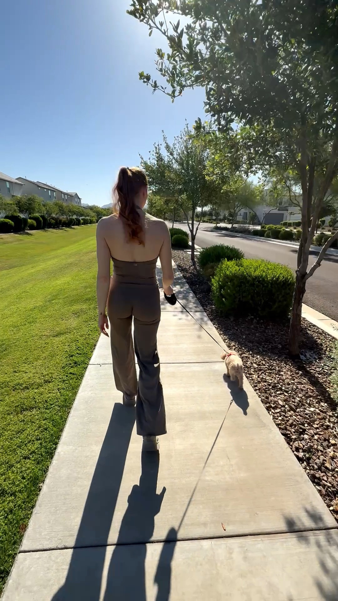 Morning stroll with my furry sidekick Aurora 🐾 

Wearing size large tank and medium pants 

#csb #wideleg #legging #activewear #haltertank #gymfit #loungewear

#LTKdayinmylife #LTKmorningroutine #LTKootd