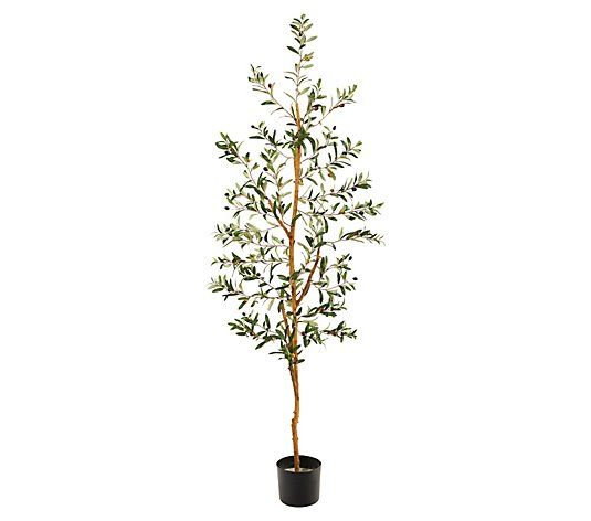 Olive Artificial Tree 4.5' by Nearly Natural - QVC.com | QVC