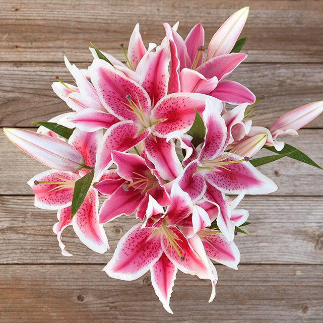 Stargazer Lily Flower Arrangement - The Bouqs Co. | The Bouqs Co.