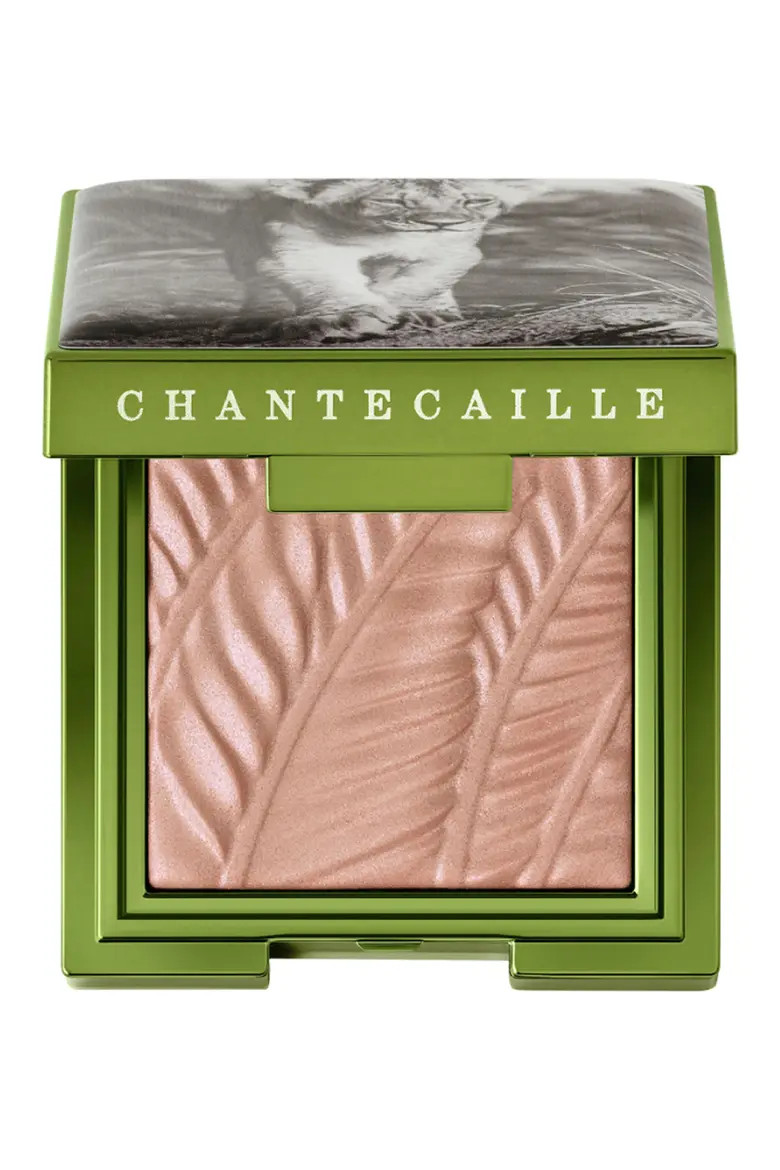 Chantecaille Luminescent Eye Shade in Narika at Nordstrom | Nordstrom