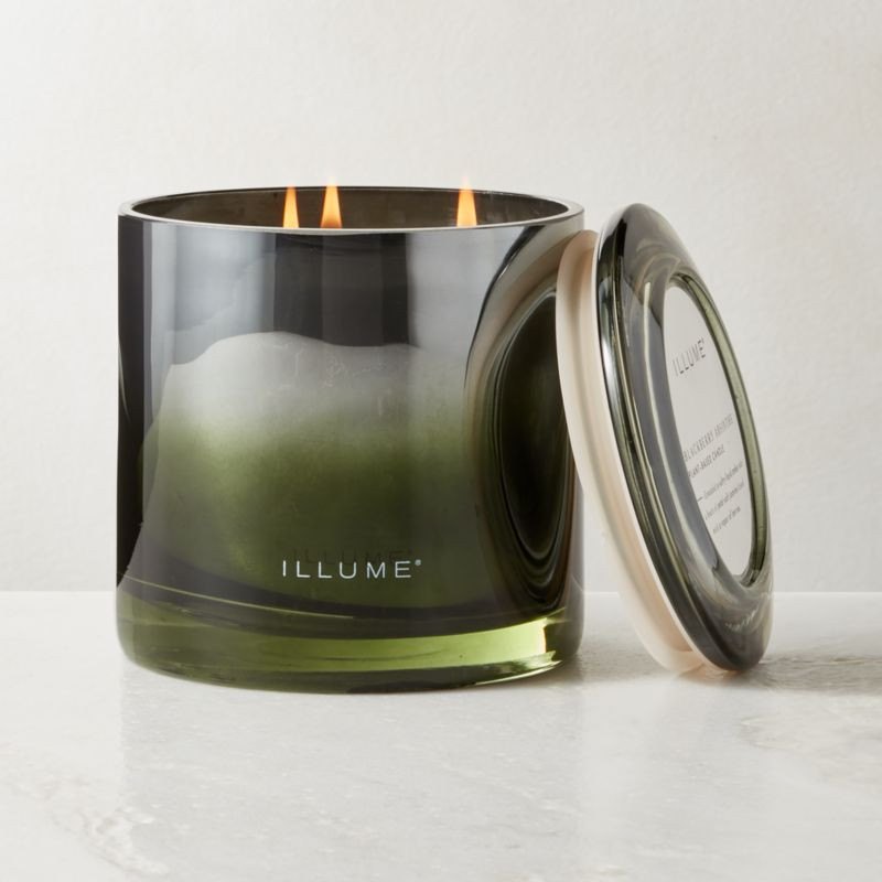 Illume Blackberry Absinthe Scented Candle 20.8oz + Reviews | CB2 | CB2