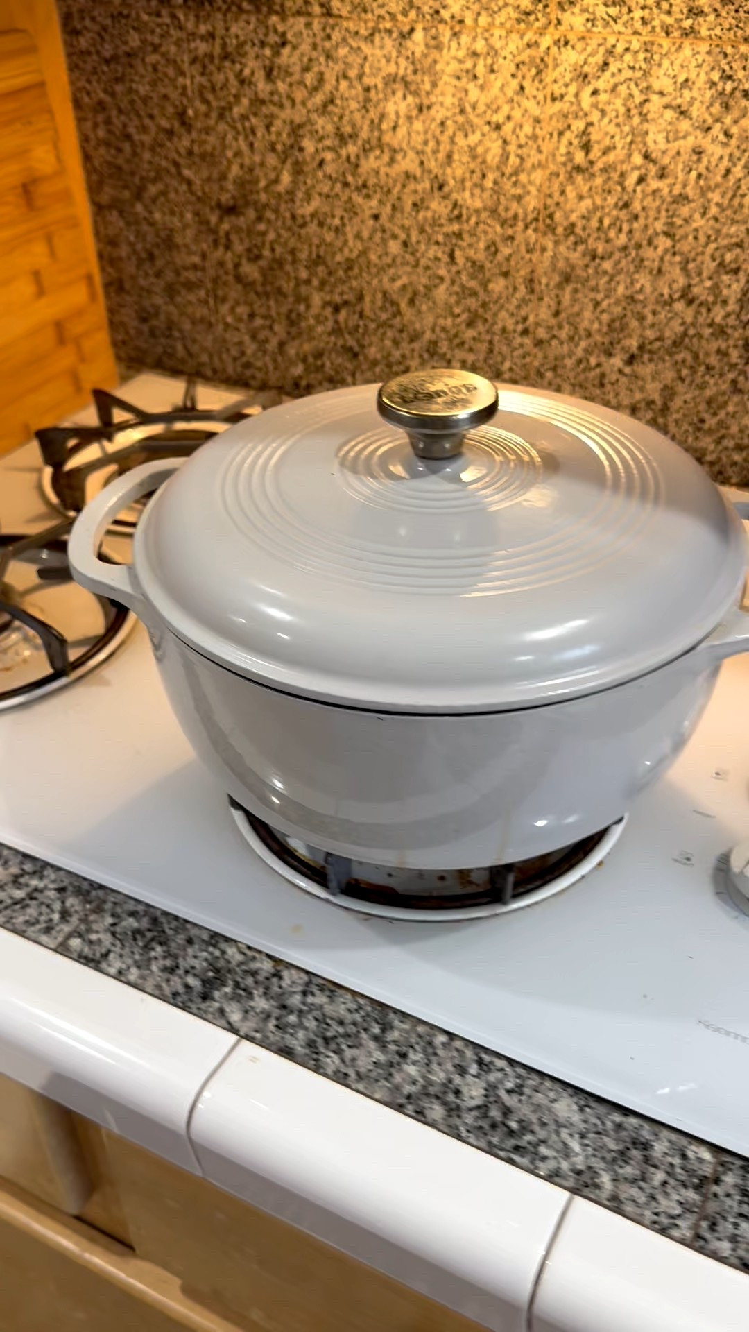 Dutch oven cooking 

#LTKSeasonal #LTKFindsUnder100 #LTKHome