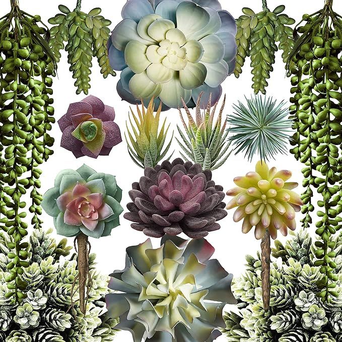 caqpo Artificial Succulents - 15 Pack - Premium Unpotted Succulent Plants Artificial - Realistic ... | Amazon (US)