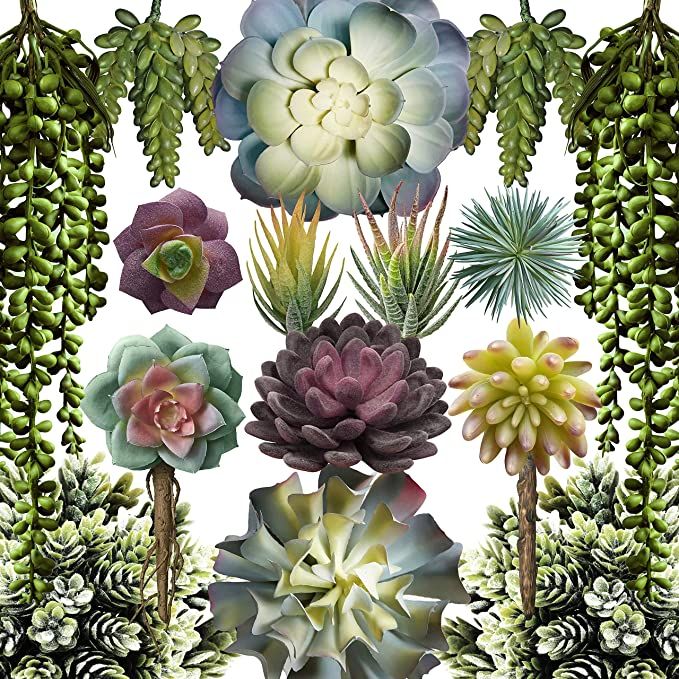 caqpo Artificial Succulents - 15 Pack - Premium Unpotted Succulent Plants Artificial - Realistic ... | Amazon (US)