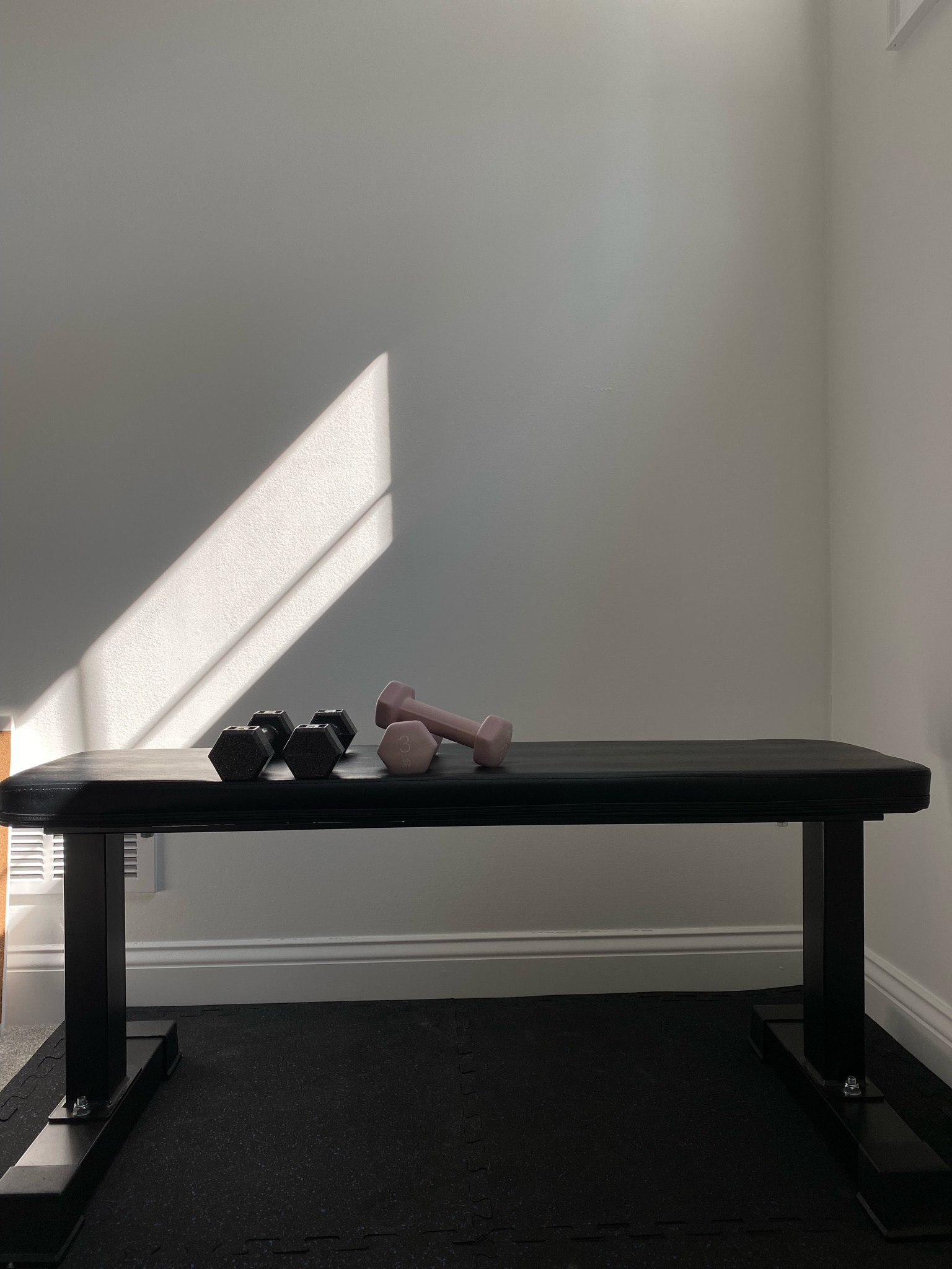 basic workout bench from Amazon and my most used weights at the moment as I navigate postpartum workouts.

#LTKHome #LTKActive #LTKFitness