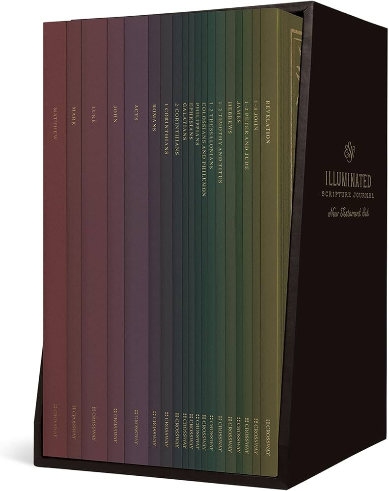 ESV Illuminated Scripture Journal: New Testament Set | Amazon (US)