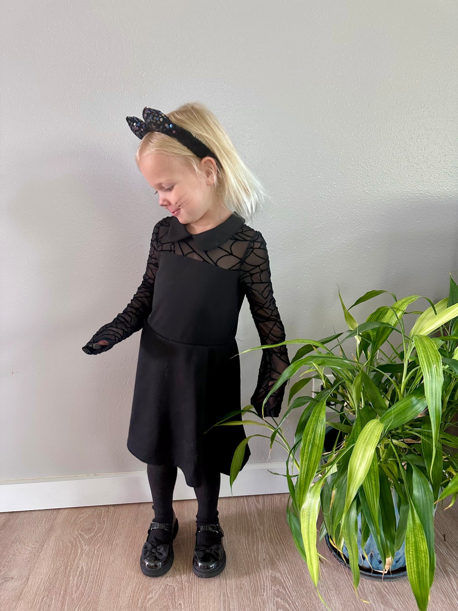 Cutest little black cat 🐾🖤 My preschooler’s DIY Halloween look = Girls’ Cat Ears Headband, Spider Web Dress, black tights + Bow Mary Jane Flats. Simple, comfy + obsessed with how adorable this spooky season outfit turned out! 🎃✨ #LTKKids #HalloweenOOTD #SpookySeasonStyle #MiniStyle #TrendingNow #CostumeInspo #LTKFinds

#LTKSeasonal #LTKFindsUnder50 #LTKKids