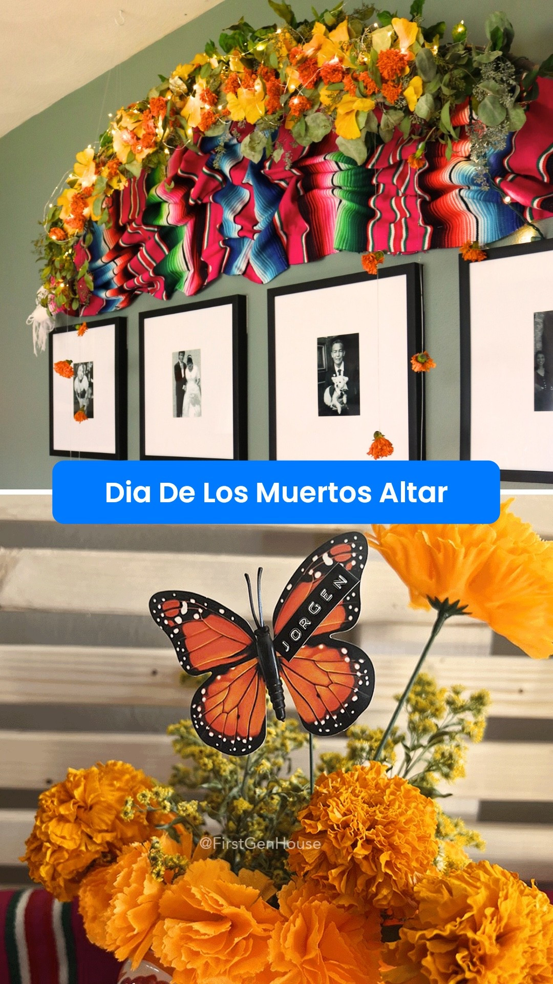 Day of the Dead DIY inspiration so you can honor your loved ones with your own ofrenda. 

#LTKHalloween #LTKHome #LTKSeasonal