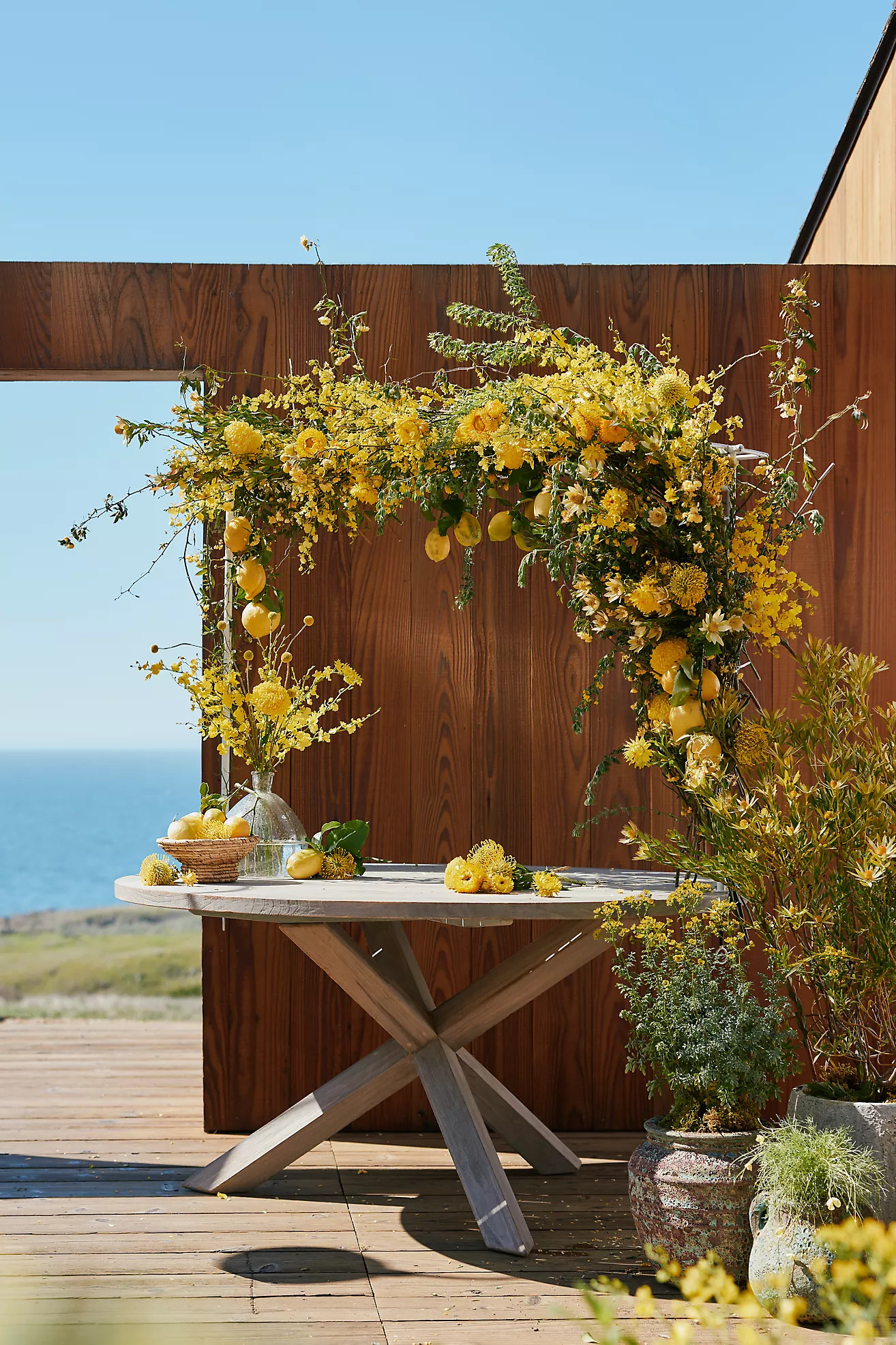 Over-the-Table Trellis | Anthropologie (US)
