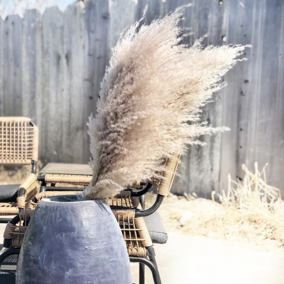 Extra Large Fluffy Natural Dried Pampas Grass Single Stem | Etsy | Etsy (US)