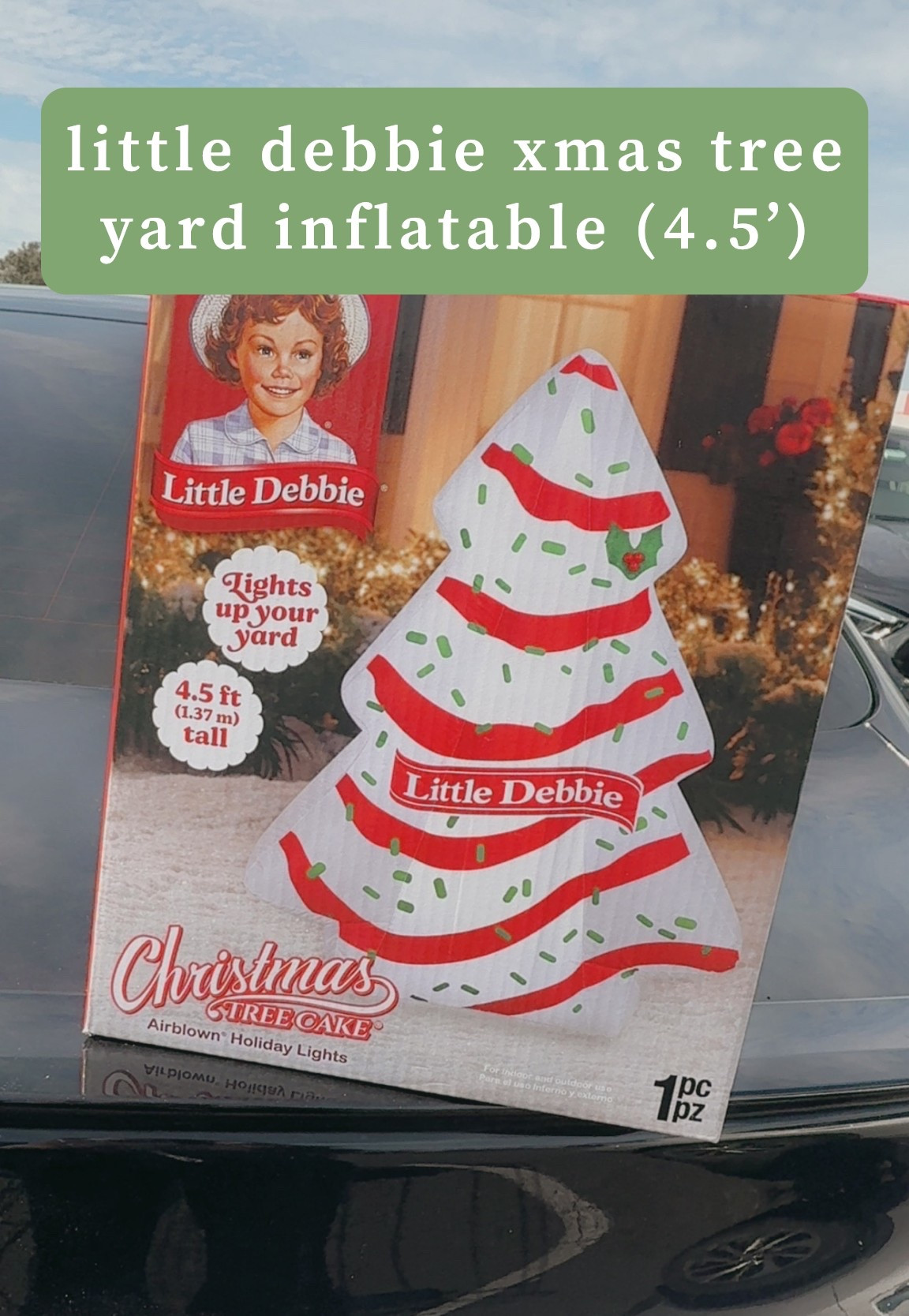 I stopped dead in my tracks when I saw this lone Little Debbie Christmas Tree Cake inflatable! I cannot wait to put this out in the front yard!!! 😂😬

#LTKFamily #LTKSeasonal #LTKFindsUnder50