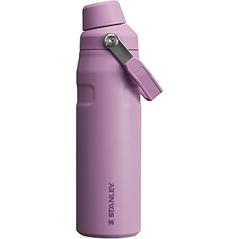 Stanley IceFlow Fast Flow Water Bottle | Angled Spout Lid | Lightweight & Leakproof for Travel & ... | Amazon (US)