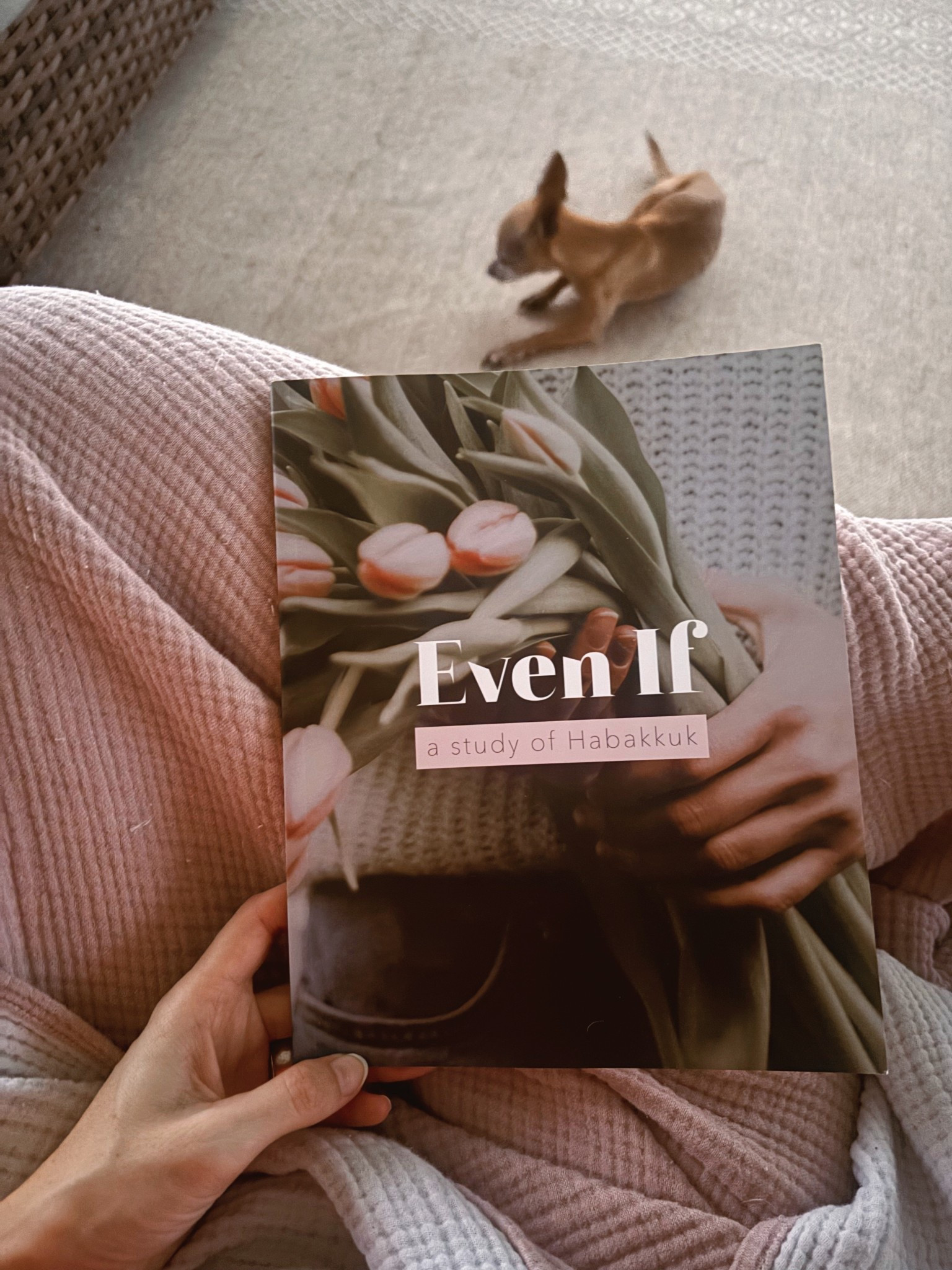 One of the Bible study I’ve been reading lately! I’m really liking this one! Even if- a study of Habakkuk 



#LTKHome #LTKFamily