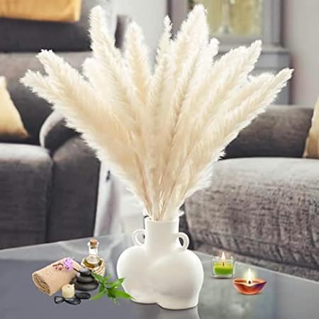 30 Pcs White Pampas Grass ,17 inch/45 cm Natural Dried Pampas Grass Branches Decor for Home Kitchen  | Amazon (US)