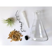 Air Plant Terrarium Kit Erlenmeyer Flask, Chemistry Gift, Gifts, Science Teacher Kit, Decor | Etsy (US)