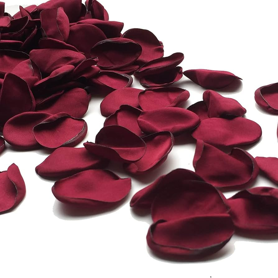 200pcs Silk Rose Petals Burgundy Artificial Flowers Petals Flower Girl for Wedding Romantic Night... | Amazon (US)
