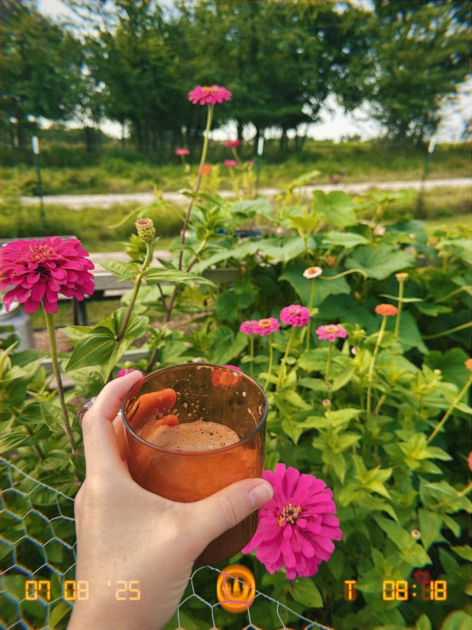 My favorite coffee mug ❤️🤗 #coffee #target #kitchen 

#LTKHome