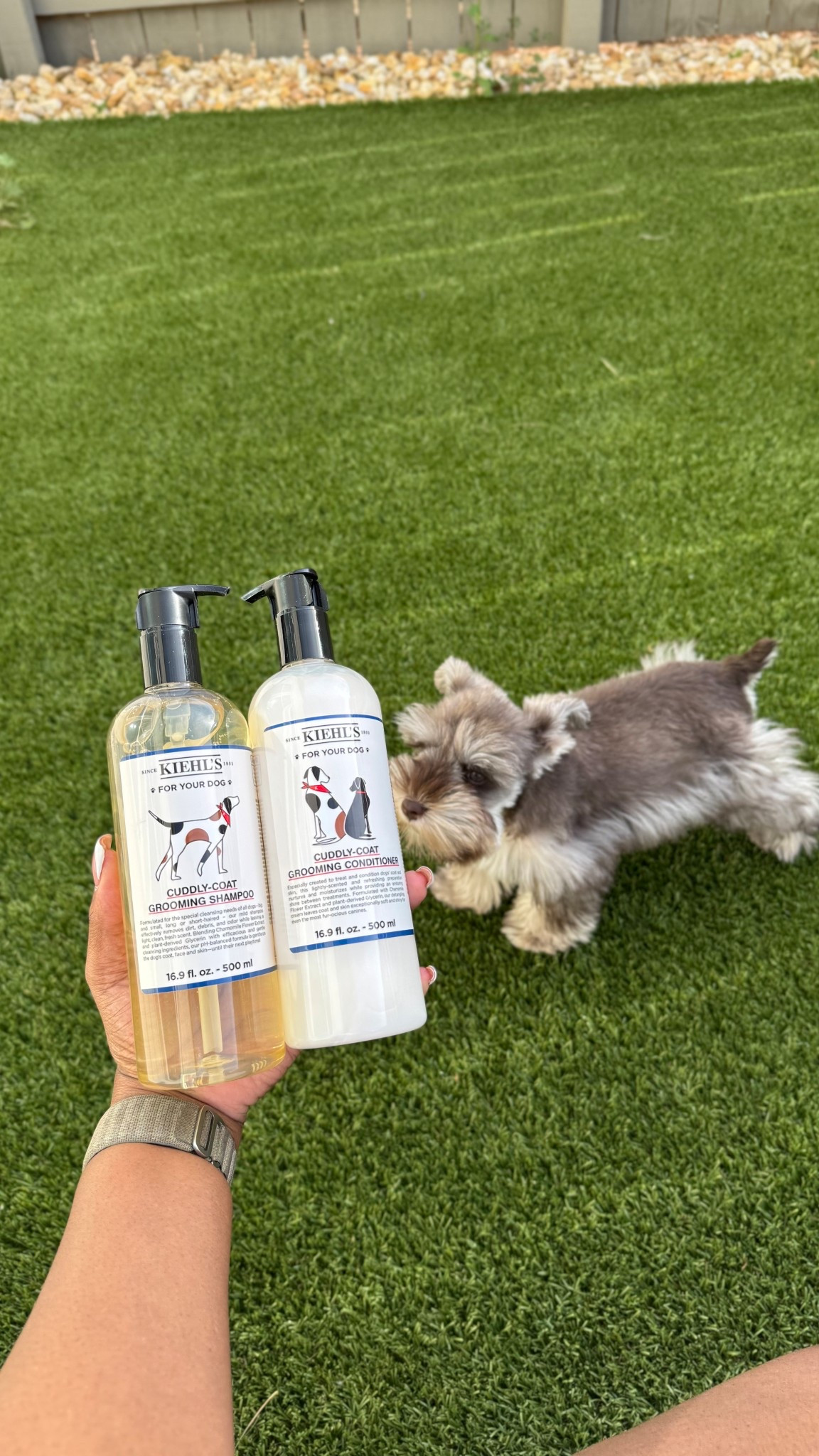 Thank you Kiehl’s for the shampoo & conditioner. Matcha loves them! Making bath time fun! 🐶🐾 

#LTKPets #LTKFindsUnder50