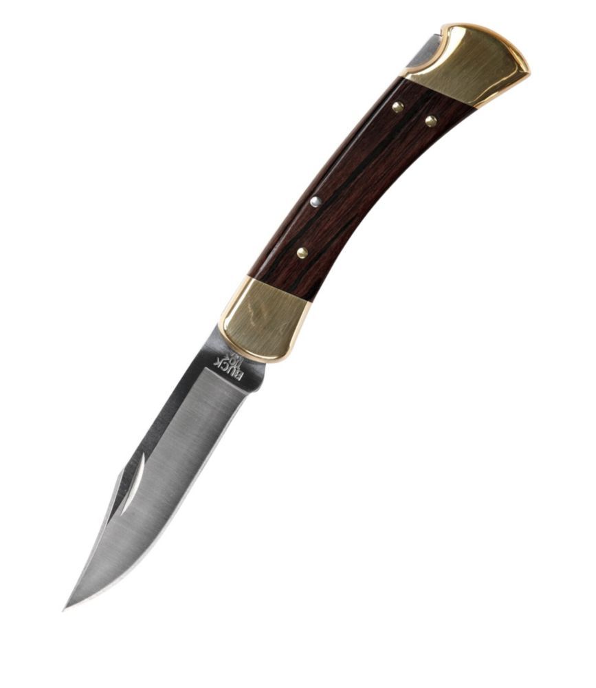 Buck 110 Folding Hunter's Knife | L.L. Bean