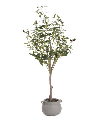 3ft Olive Tree In Stone Pot With Handles | TJ Maxx