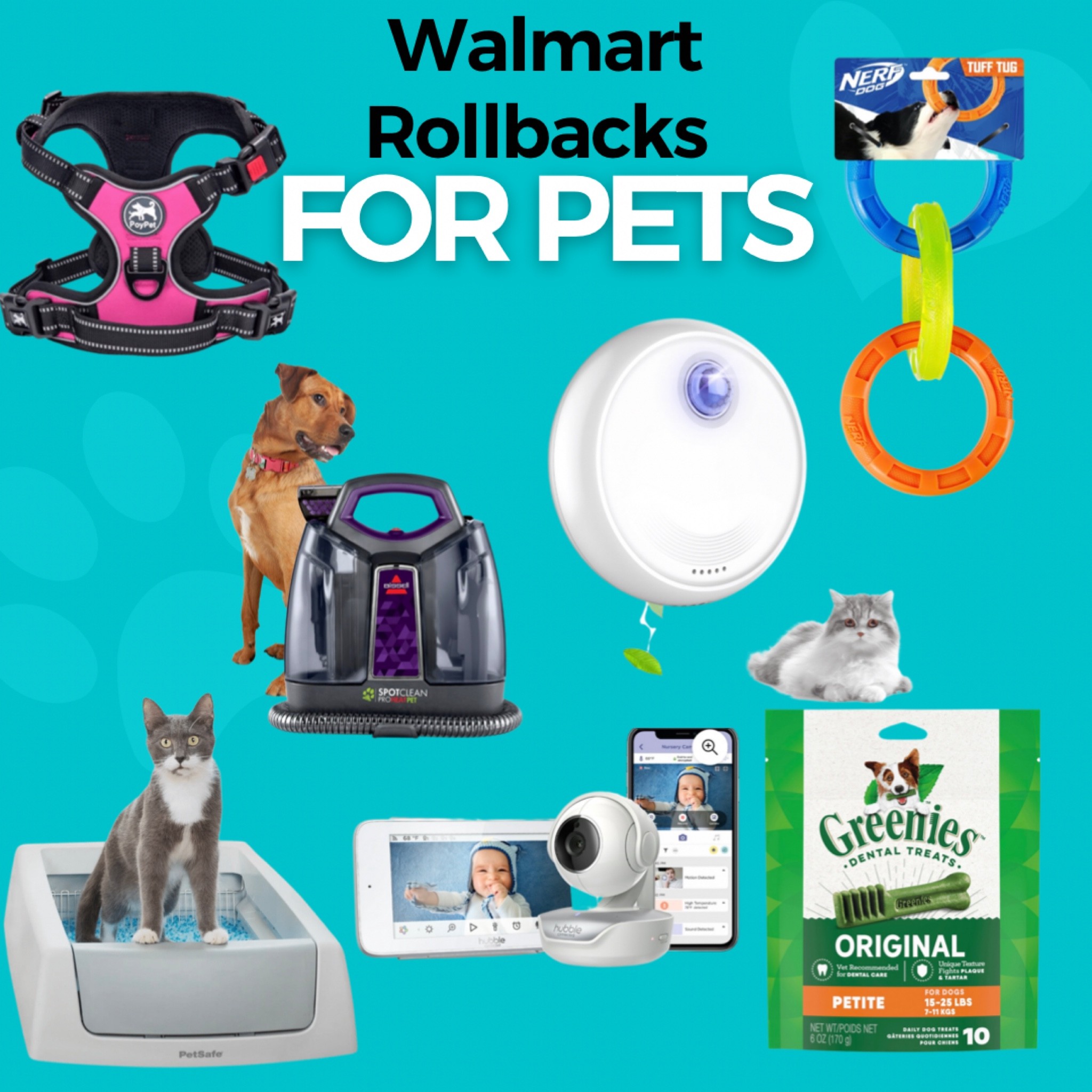 Walmart Sales for Pet Supplies and Items 

#LTKsalealert #LTKfamily #LTKhome