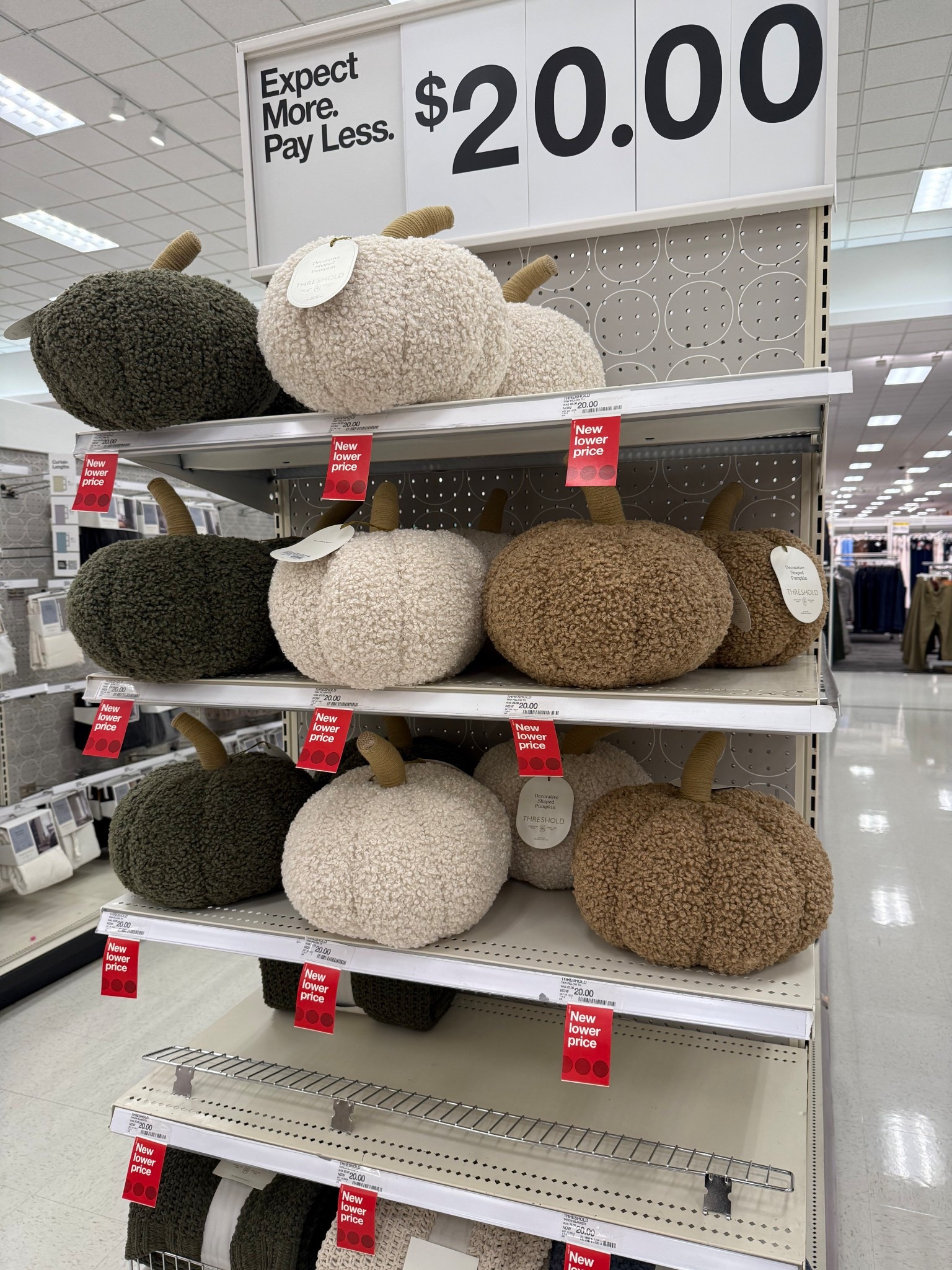 Pumpkin decor at target 

#LTKFallSale #LTKHome #LTKSeasonal