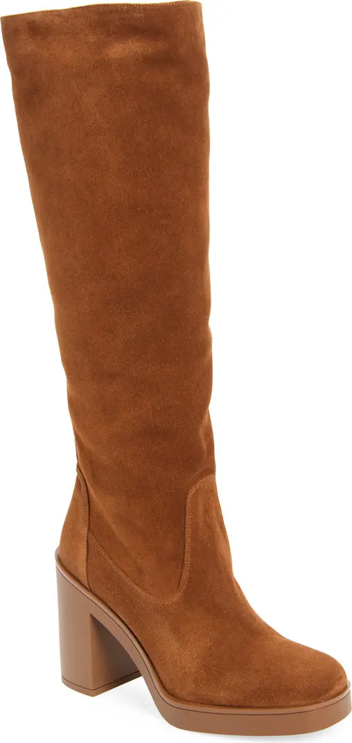 Stuart Weitzman Bethenny Block Heel Tall Boot (Women) | Nordstrom | Nordstrom