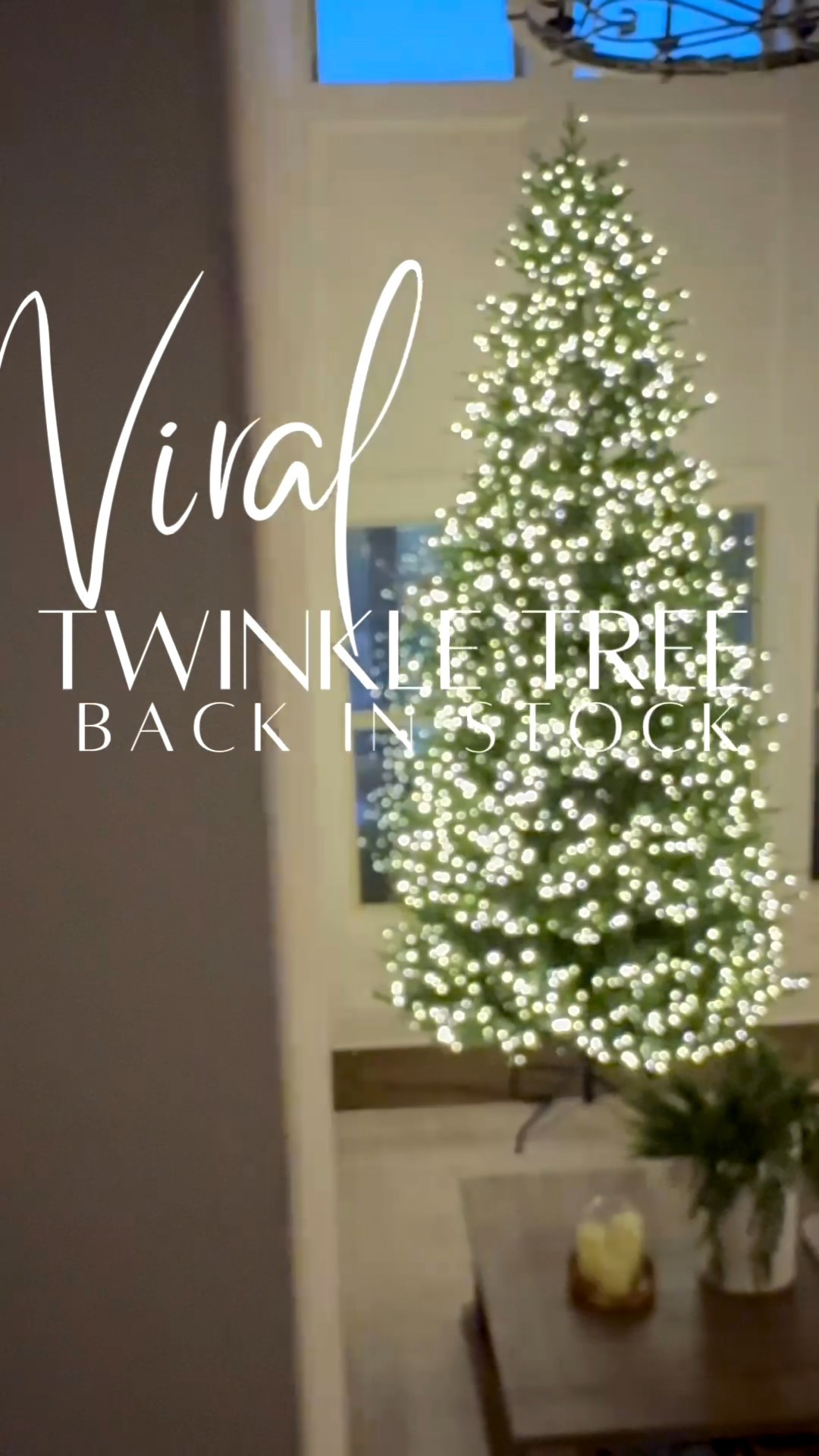 ✨The viral twinkle tree is BACK at The Home Depot — If you’ve been waiting for the Christmas tree everyone’s obsessed with… it’s officially restocked✨

This is The Elegant Twinkling Grand Fir LED Pre-Lit Artificial Christmas Tree and it’s truly a showstopper. 🎄

It comes in 3 sizes — 7.5 ft, 9 ft, and my 12 ft beauty — and features realistic evergreen branches with over 12,000 branch tips (yes, you read that right) and 3,500 warm white micro dot LED lights that give off that magical holiday glow.

It’s viral for a reason — and I can see why. 😍


#thehomedepot #christmastree #christmasdecor #twinkletree #holidayhome #christmasinspo #christmasmagic #decorinspo #homedecor #holidaydecor #christmasaesthetic #christmashometour #holidaystyle #christmaslights #holidayvibes #ltkhome #ltkholiday #ltkfinds #holidayglow #homefortheholidays #christmascountdown #christmashomedecor #winterwonderland #viraltree #christmasdecorideas

#LTKStyleTip #LTKHoliday #LTKHome