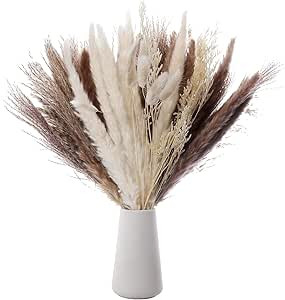 Pampas Grass Decor | 80 PCS 17” Pampas Grass – Bouquet of Pompas Floral is Natural & Dried | ... | Amazon (US)