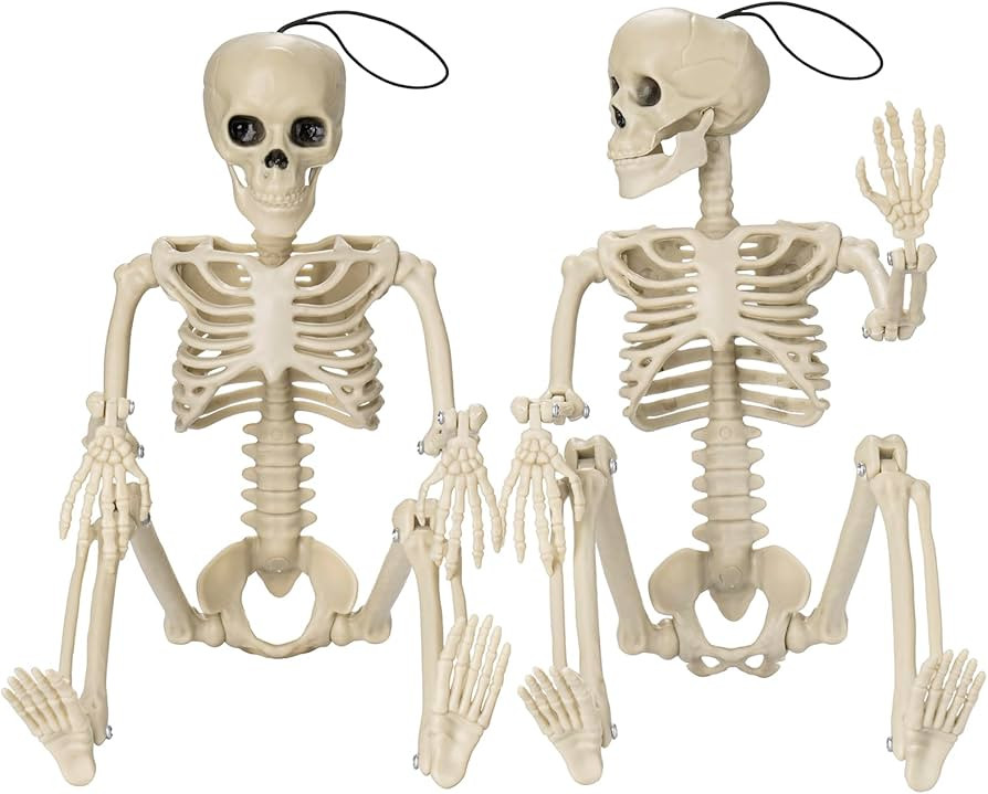 GoClimber 2 Packs Posable Halloween Skeletons, 16" Full Body Posable Joints Skeletons for Hallowe... | Amazon (US)