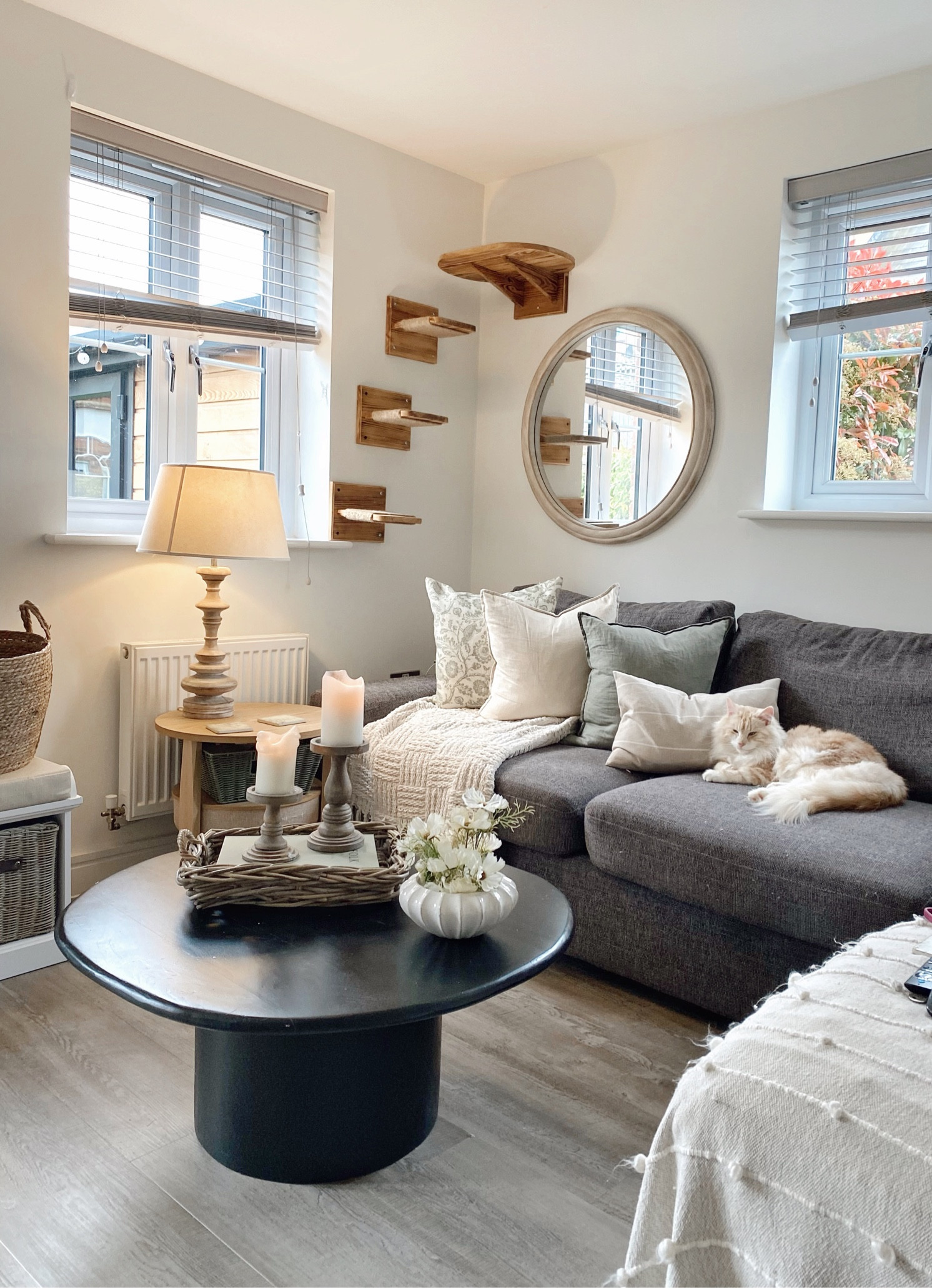 #LTKhome #LTKFind #LTKSeasonal