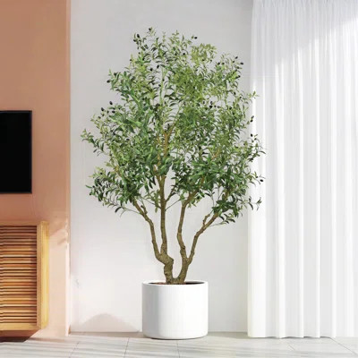 8FT Tall Artificial Olive Tree - Large Faux Potted Tree With Natural Trunk And Lifelike Olive Leaves And Fruit, Elegant Indoor/Outdoor Decorative Plan | Wayfair North America