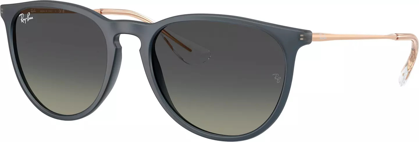 Ray-Ban Erika Classic Sunglasses | DICK'S Sporting Goods