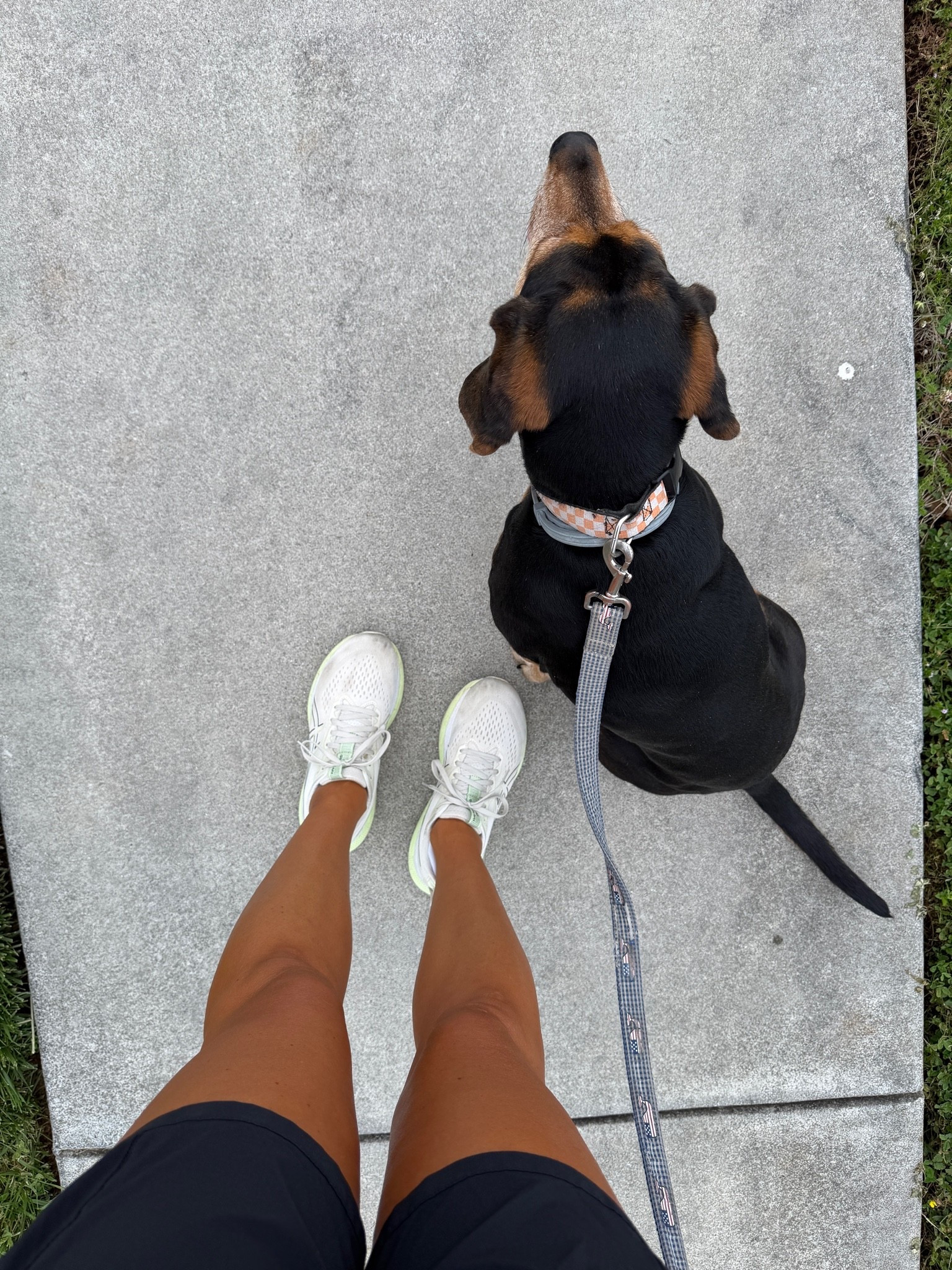 Self tanner and mit

#LTKfitnessgoals #LTKmorningroutine